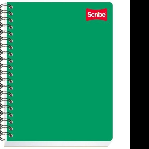 CUADERNO PROF. CLASICO SCRIBE 2902 C5MM. ESP. 100H. C.24